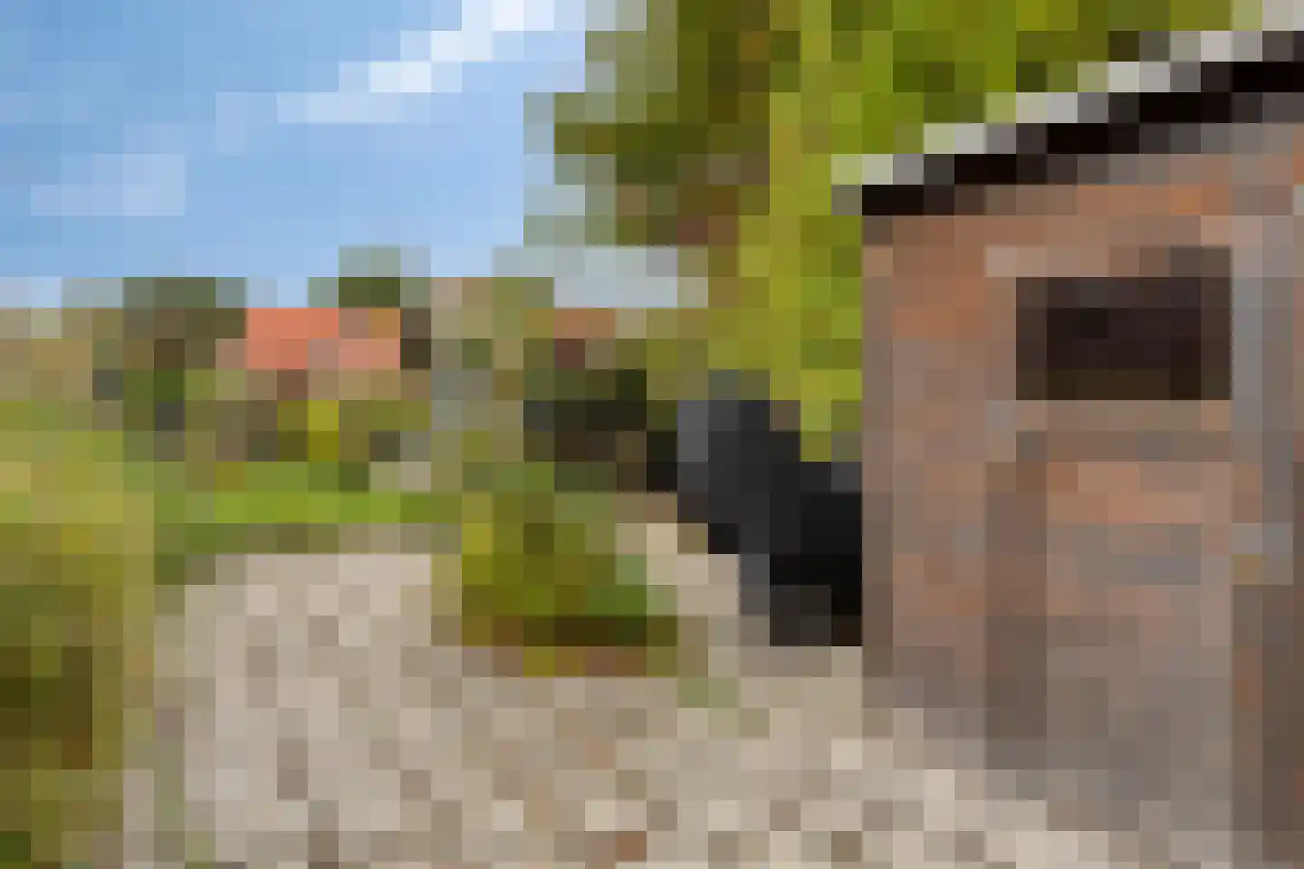 Dijkstraat 81 Kats thumbnail 42