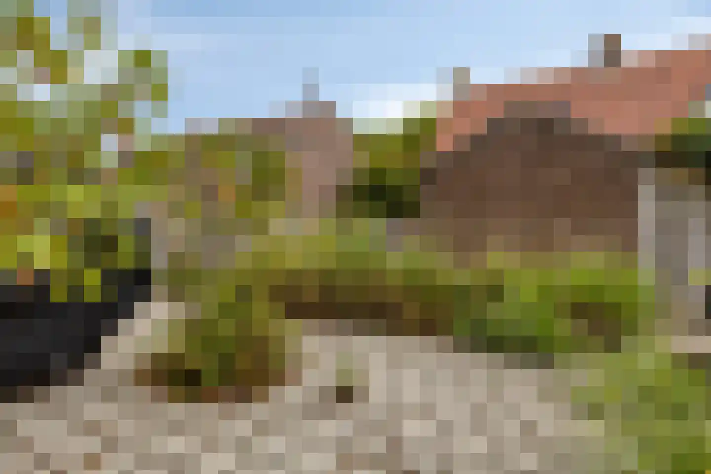 Dijkstraat 81 Kats thumbnail 5