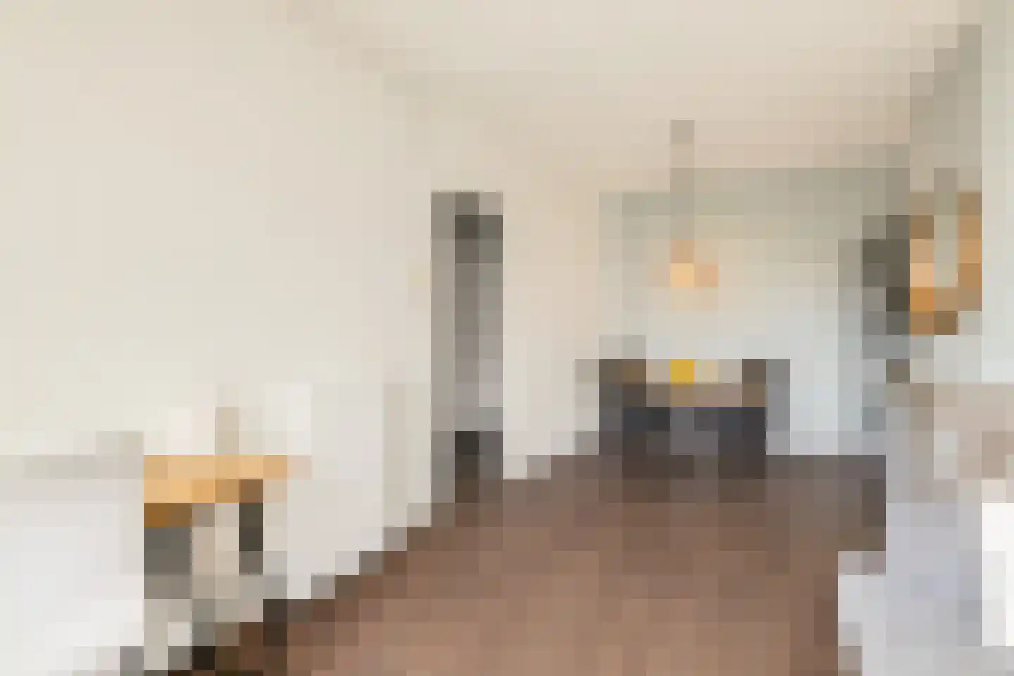 Dijkstraat 9 D Rotterdam thumbnail 12