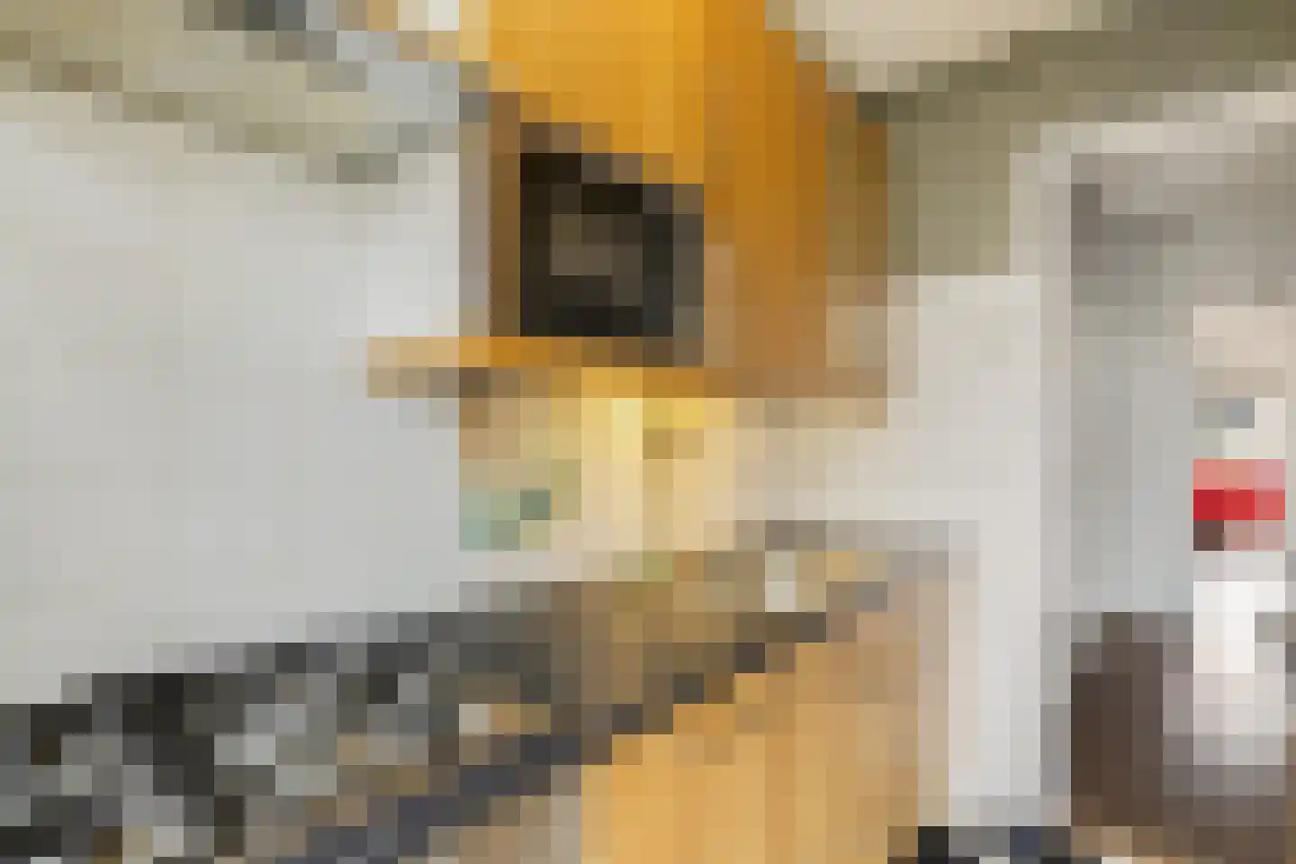 Dijkstraat 9 D Rotterdam thumbnail 15