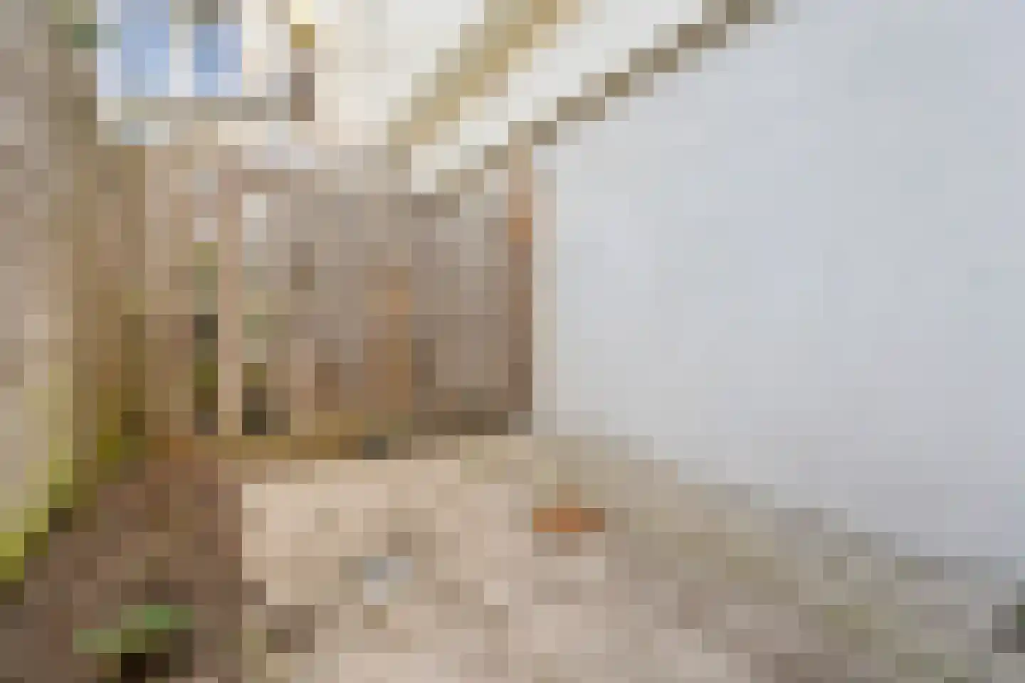 Dijkstraat 9 Haarlem thumbnail 29