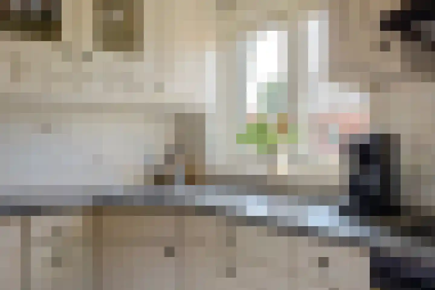 Dijkstraat 9 Rhenoy thumbnail 10