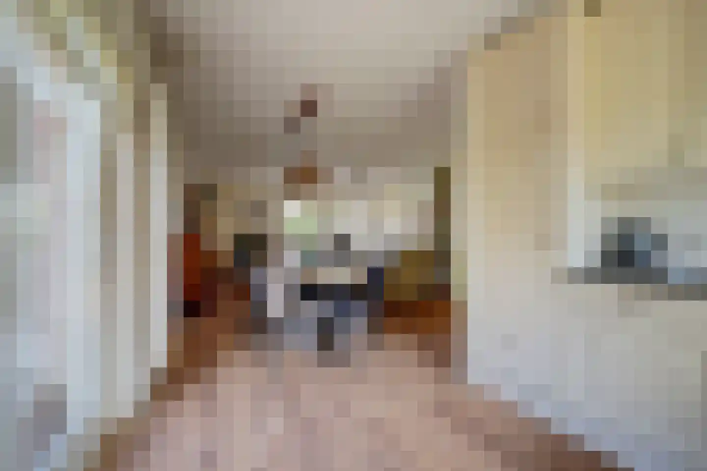 Dijkstraat 9 Rhenoy thumbnail 11
