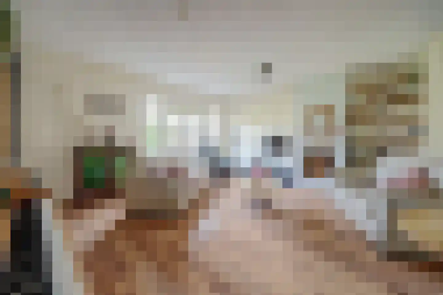 Dijkstraat 9 Rhenoy thumbnail 12
