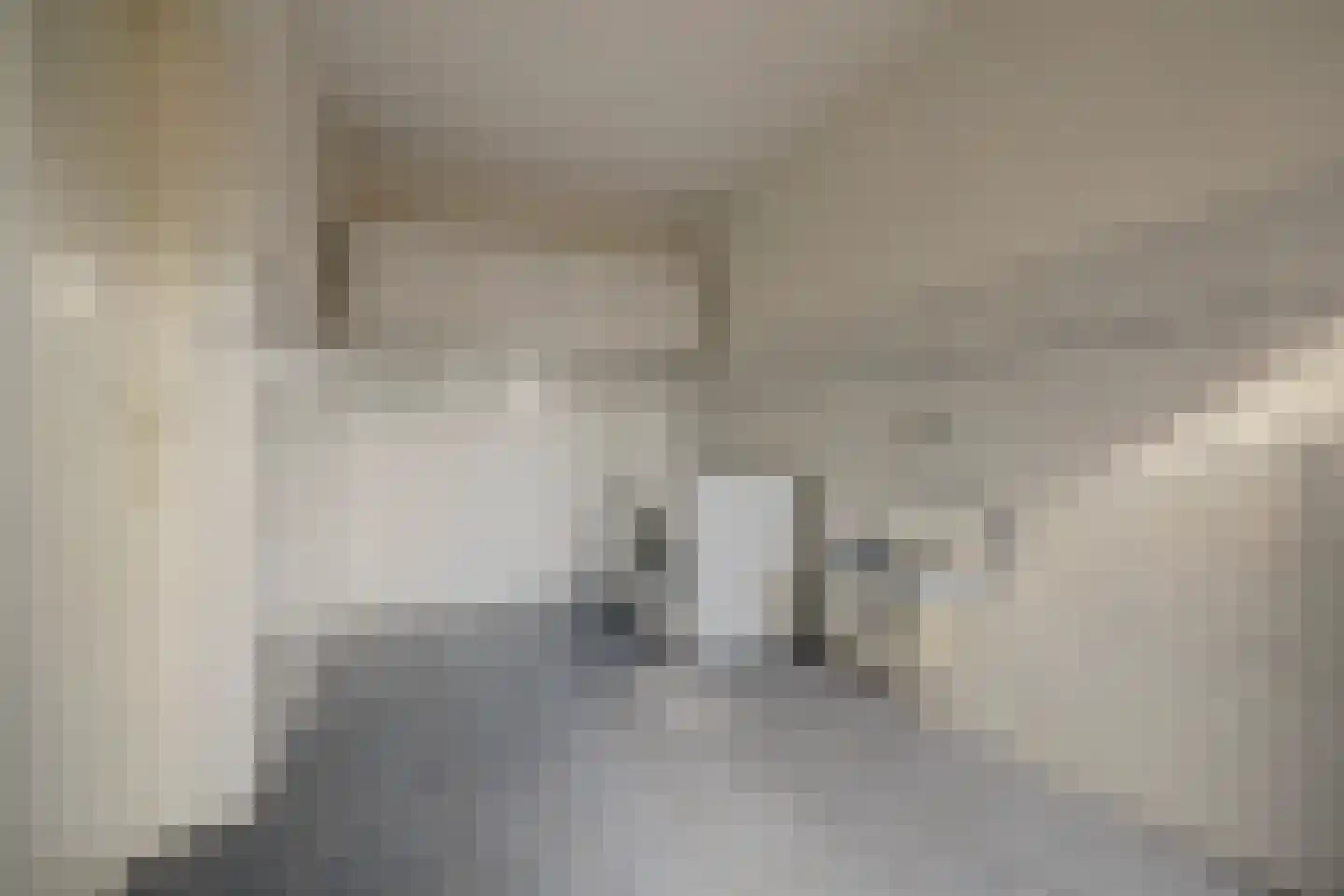 Dijkstraat 9 Rhenoy thumbnail 14