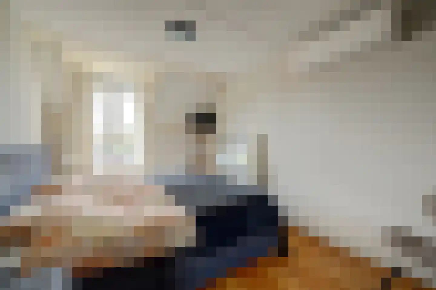 Dijkstraat 9 Rhenoy thumbnail 20