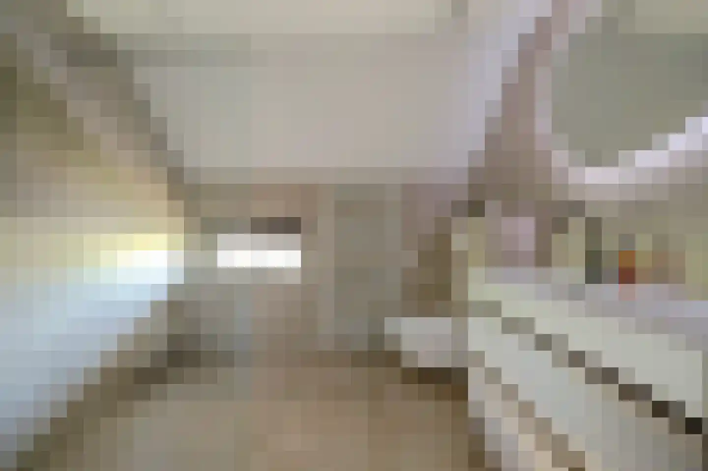Dijkstraat 9 Rhenoy thumbnail 22