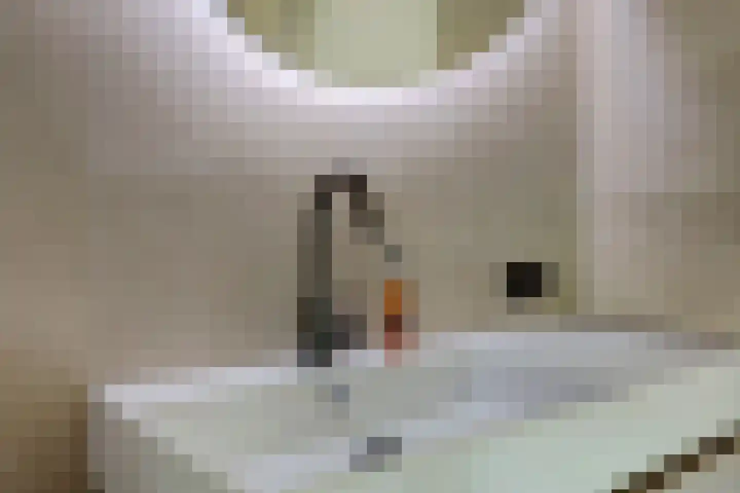 Dijkstraat 9 Rhenoy thumbnail 23