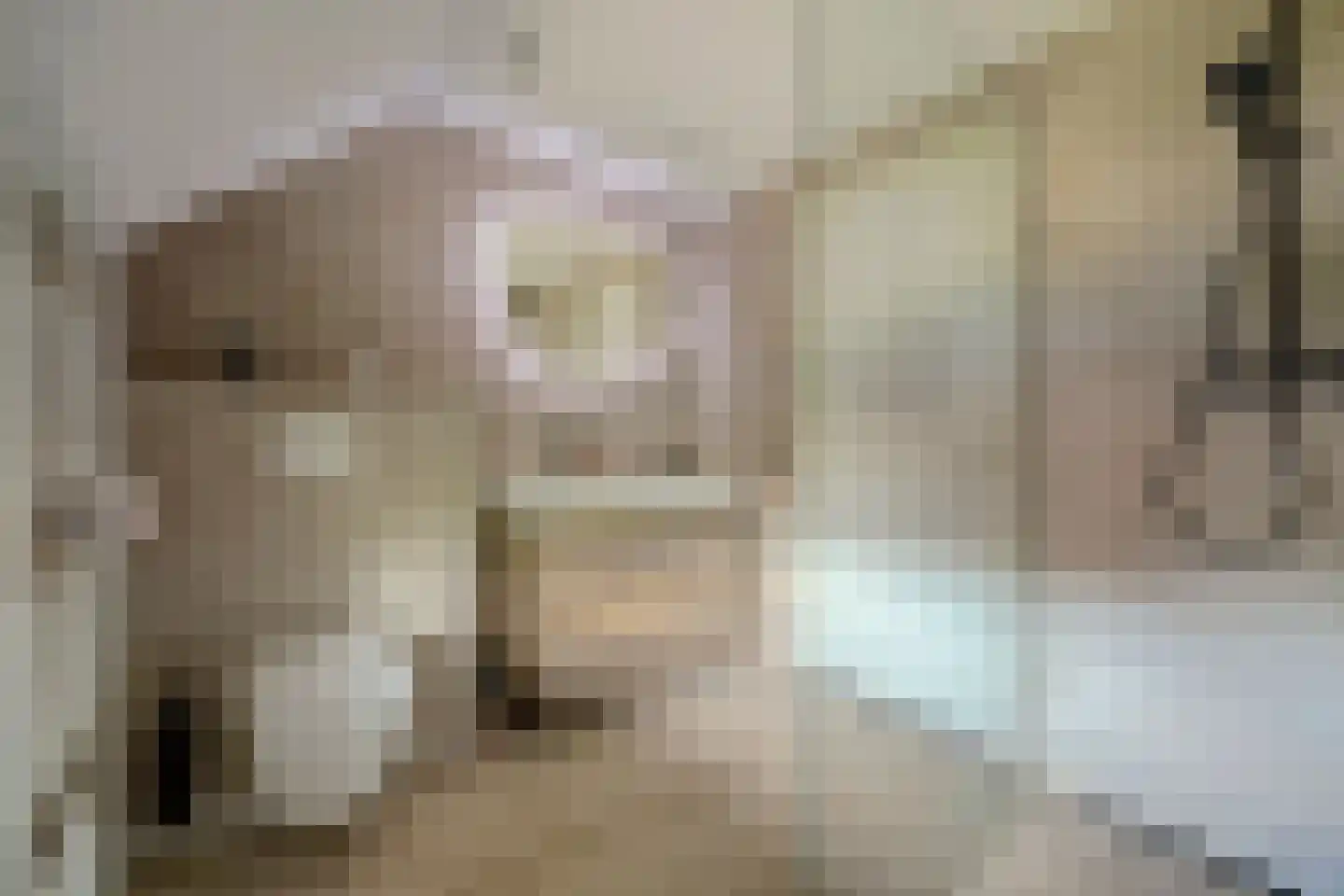 Dijkstraat 9 Rhenoy thumbnail 25