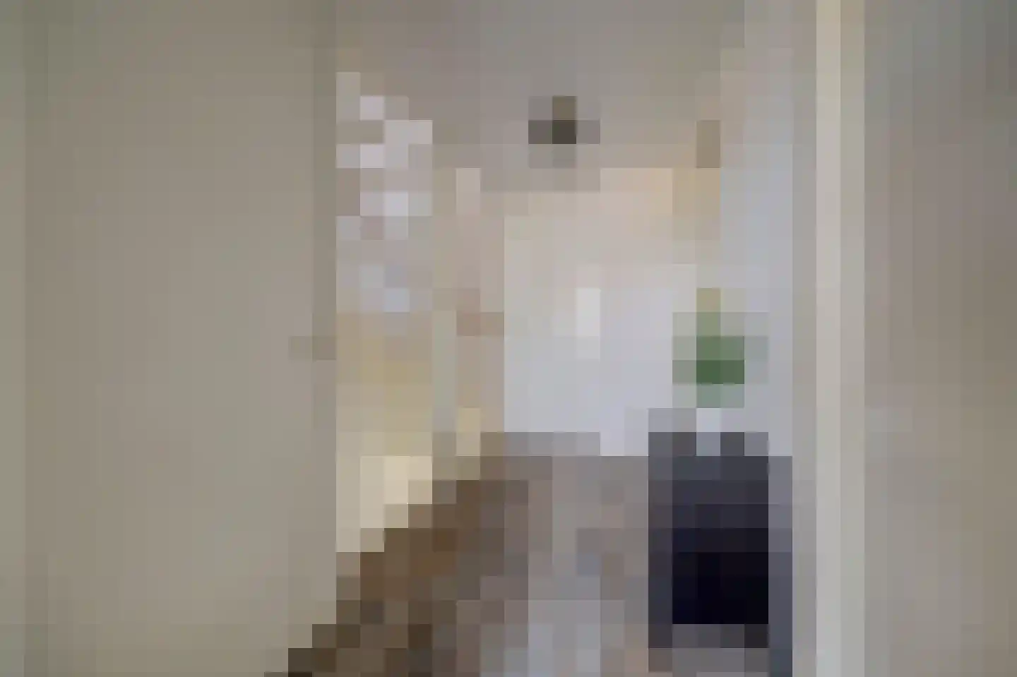 Dijkstraat 9 Rhenoy thumbnail 29