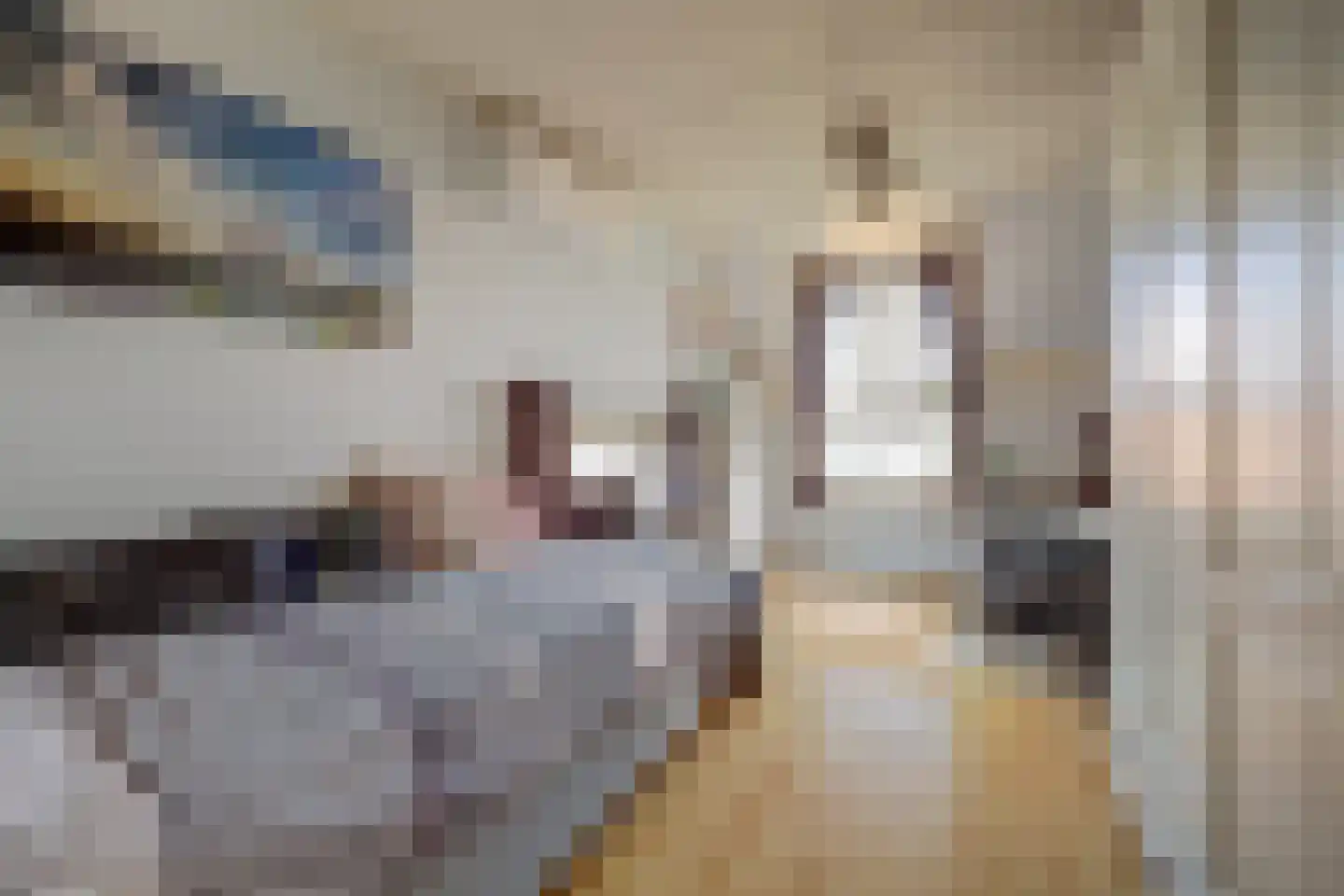 Dijkstraat 9 Rhenoy thumbnail 30