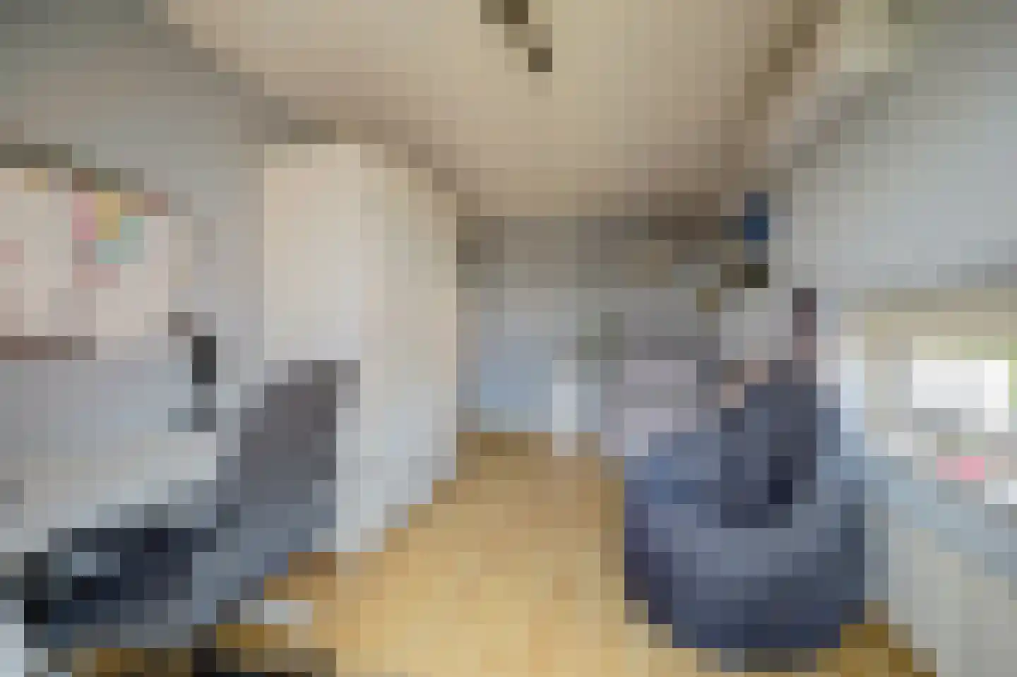 Dijkstraat 9 Rhenoy thumbnail 31