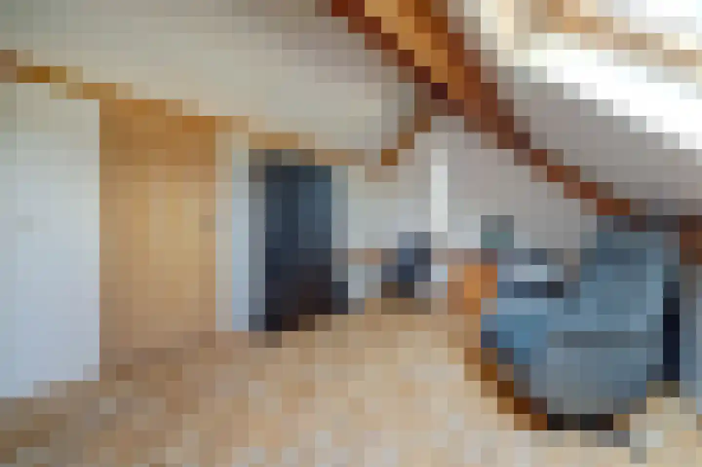 Dijkstraat 9 Rhenoy thumbnail 34