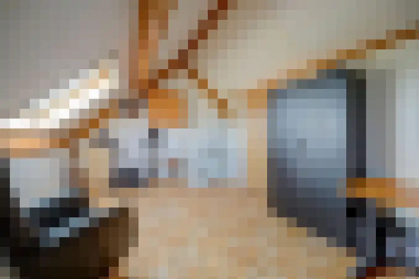 Dijkstraat 9 Rhenoy thumbnail 35