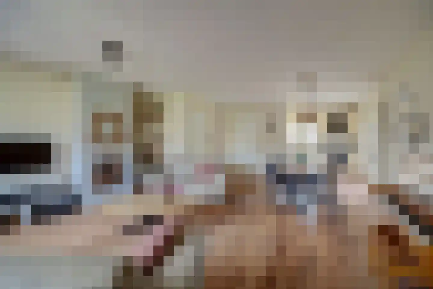 Dijkstraat 9 Rhenoy thumbnail 6