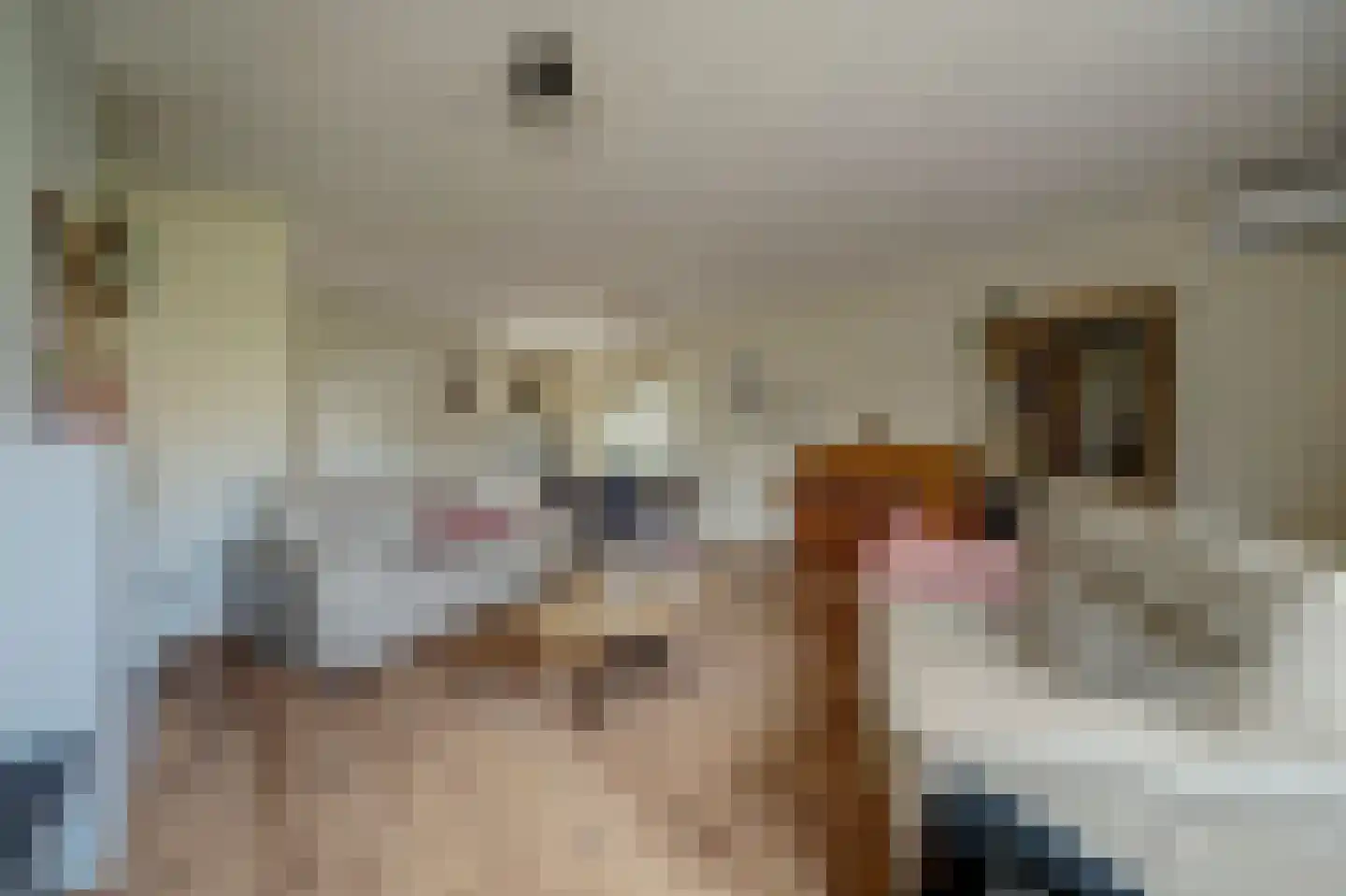Dijkstraat 9 Rhenoy thumbnail 8