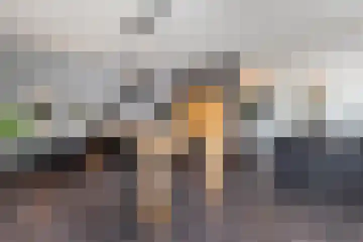Dijkstraat 9 Zwolle thumbnail 11