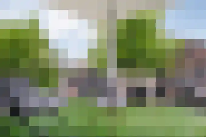 Dijkstraat 9 Zwolle thumbnail 20
