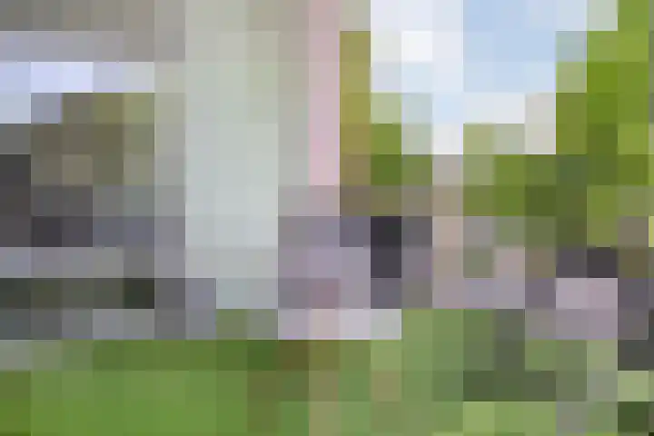Dijkstraat 9 Zwolle thumbnail 21