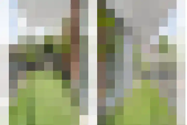 Dijkstraat 9 Zwolle thumbnail 22