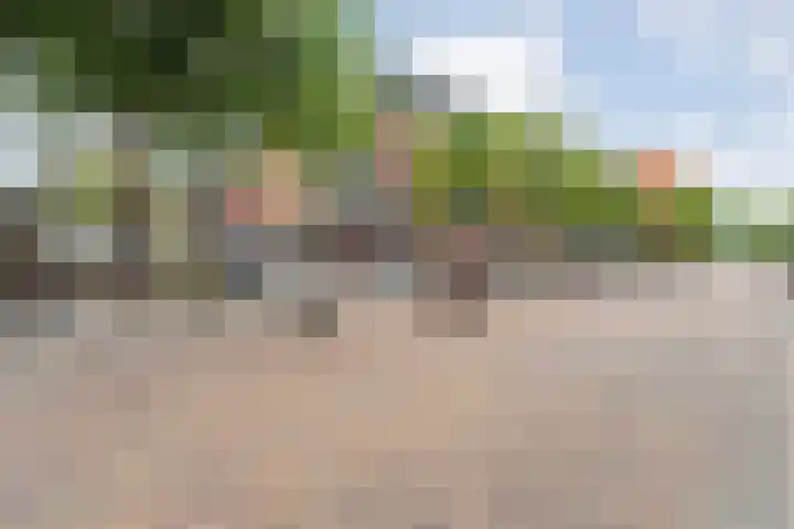 Dijkstraat 9 Zwolle thumbnail 26