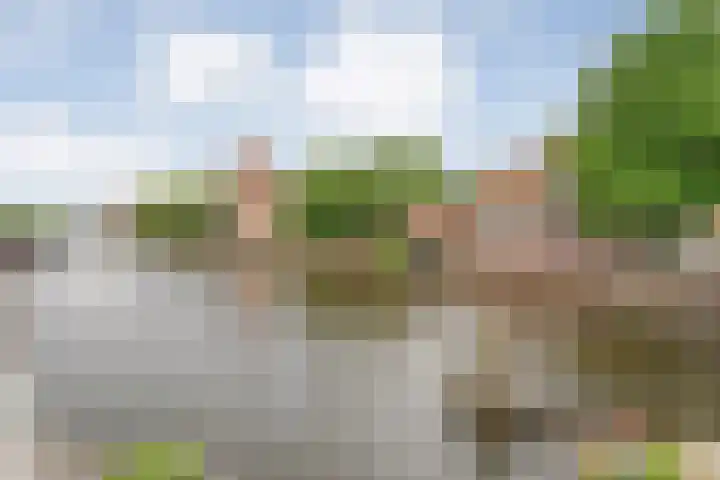 Dijkstraat 9 Zwolle thumbnail 31