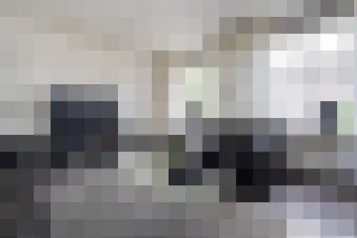 Dijkstraat 9 Zwolle thumbnail 7