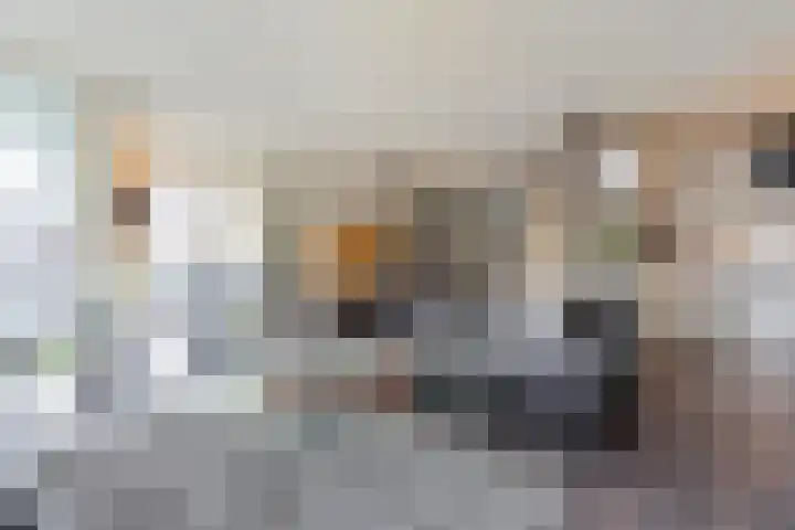 Dijkstraat 9 Zwolle thumbnail 9