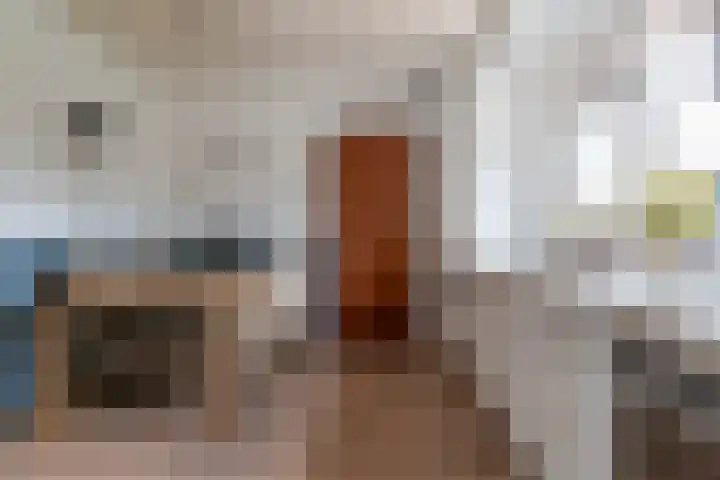 Dijkstraat 93 Veenendaal thumbnail 11