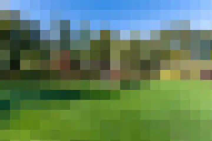 Dijkstraat 93 Veenendaal thumbnail 32