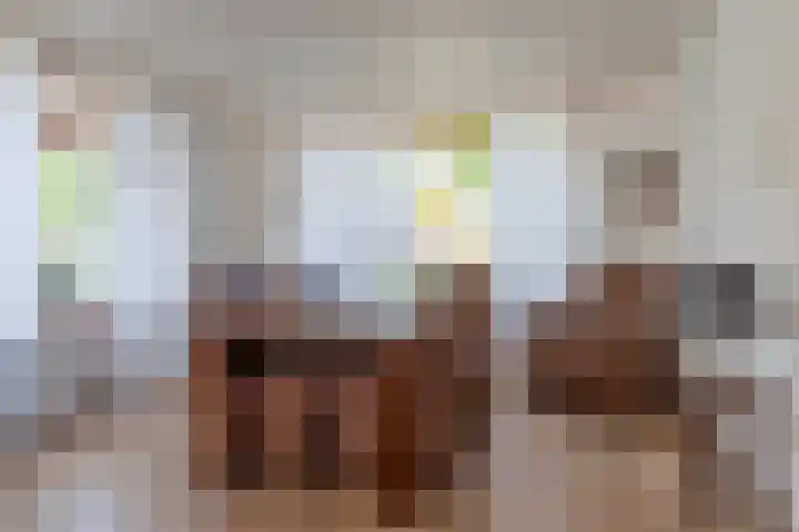 Dijkstraat 93 Veenendaal thumbnail 8
