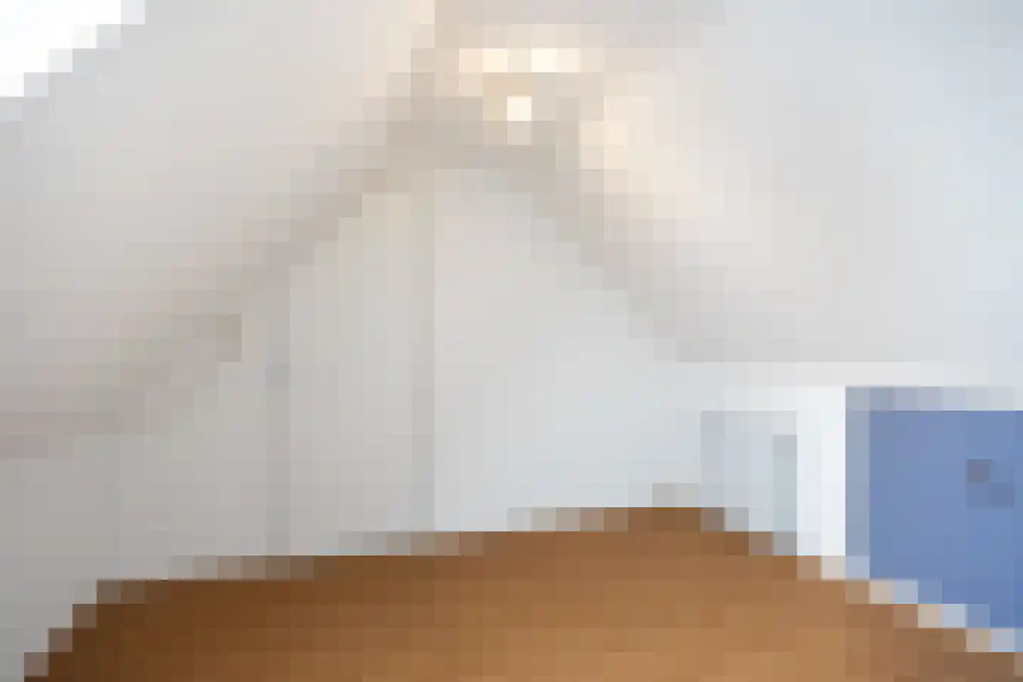 Dijksweg 14 Vierhuizen thumbnail 25