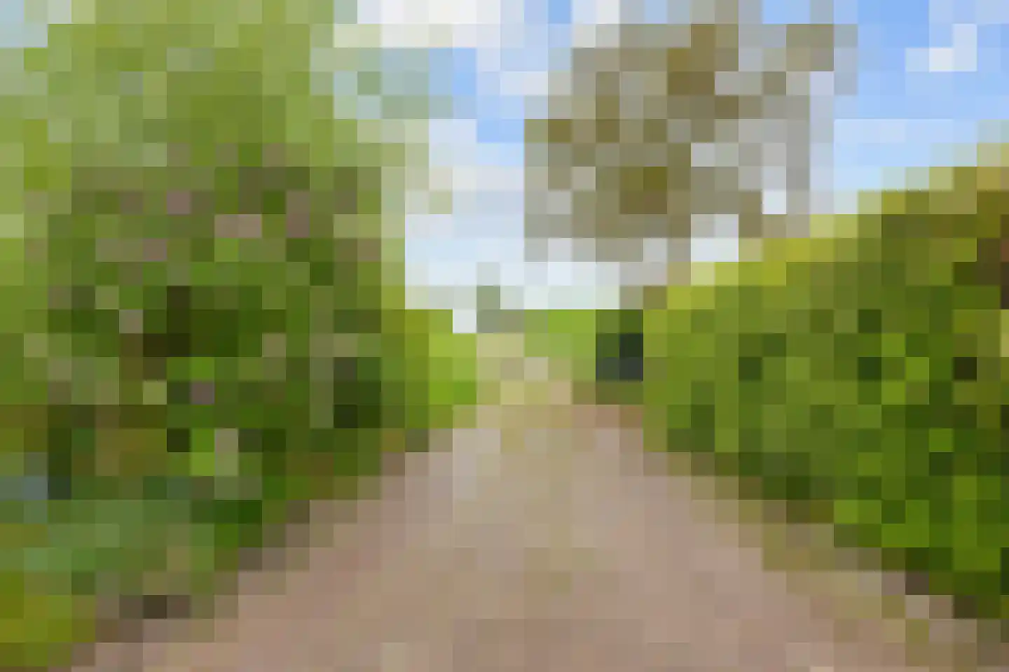 Dijksweg 14 Vierhuizen thumbnail 4