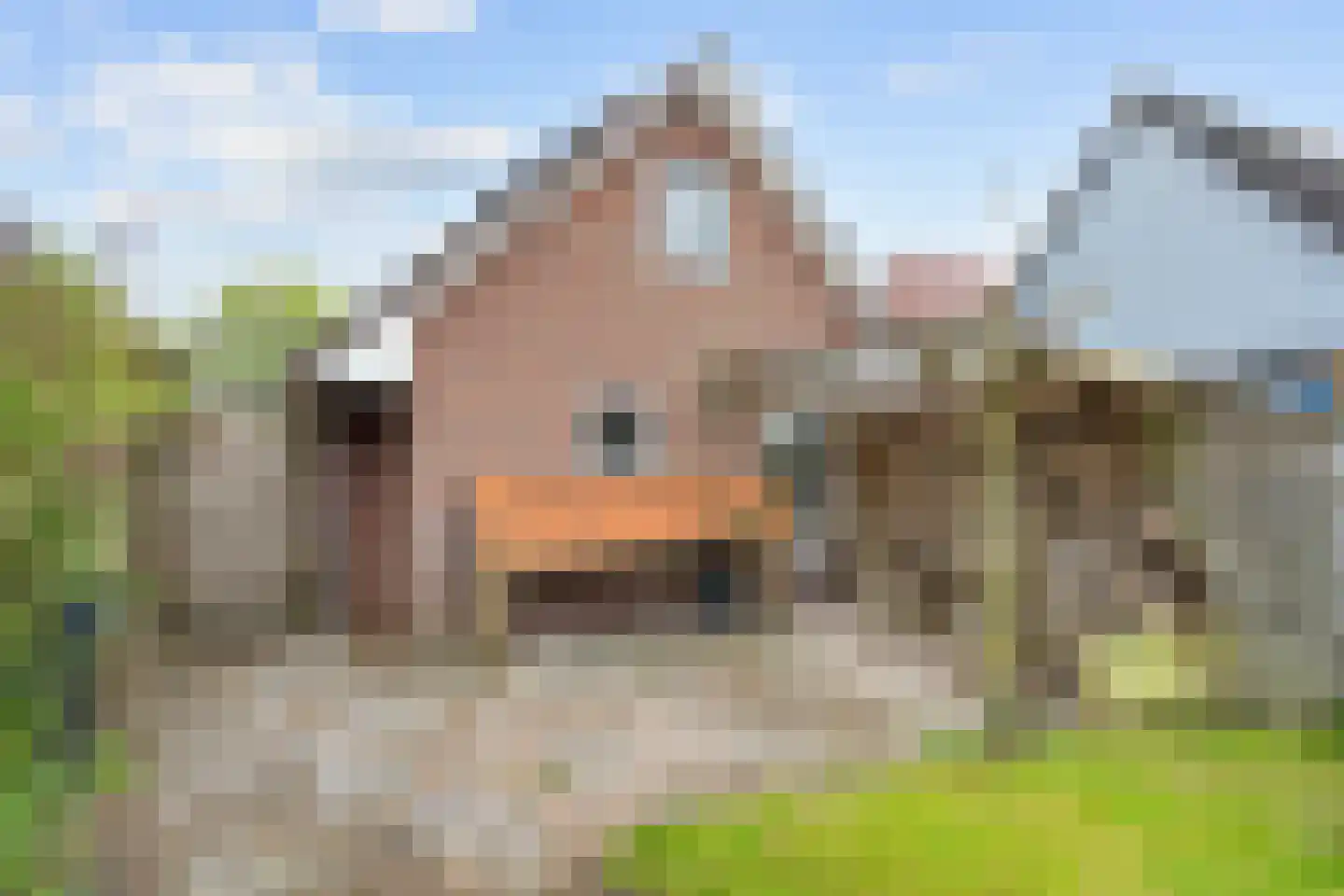 Dijksweg 14 Vierhuizen thumbnail 40