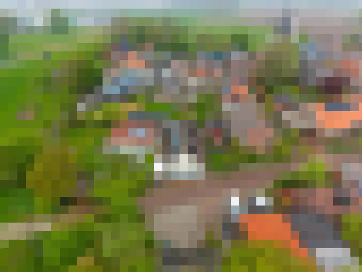 Dijksweg 14 Vierhuizen thumbnail 43