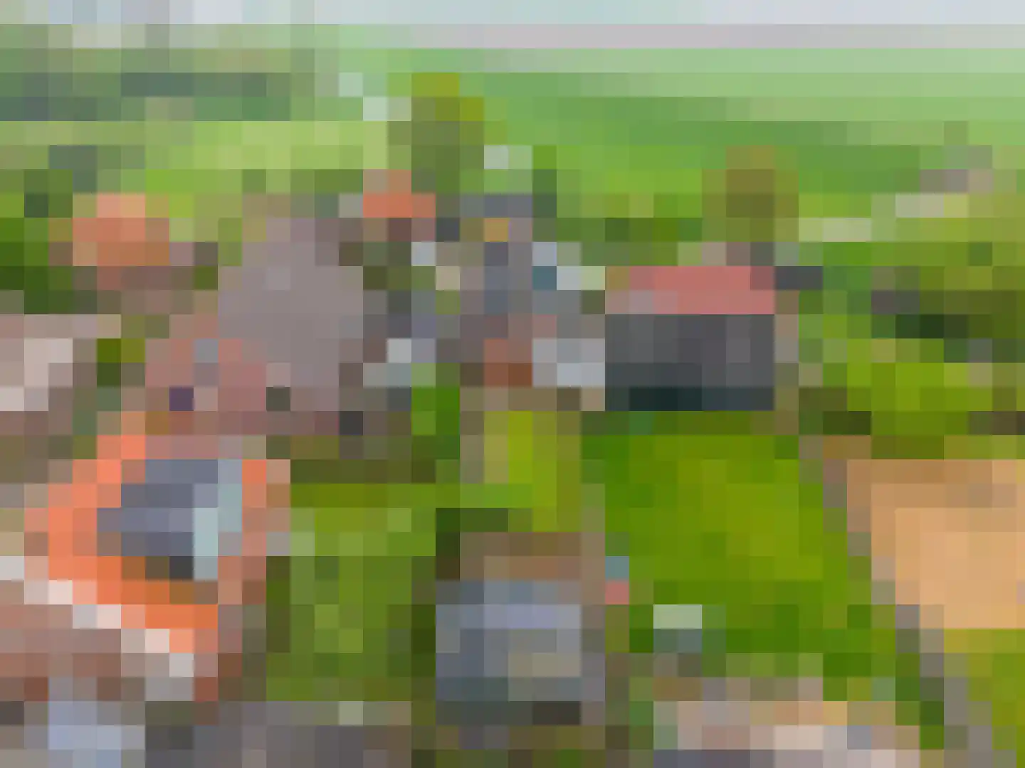 Dijksweg 14 Vierhuizen thumbnail 45