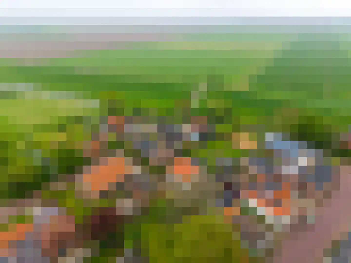 Dijksweg 14 Vierhuizen thumbnail 47