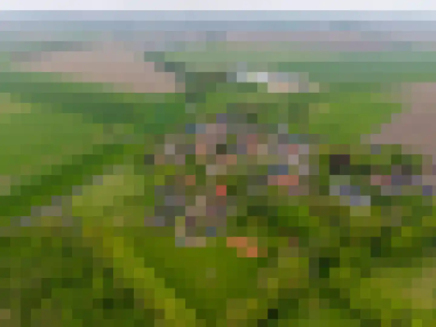 Dijksweg 14 Vierhuizen thumbnail 59