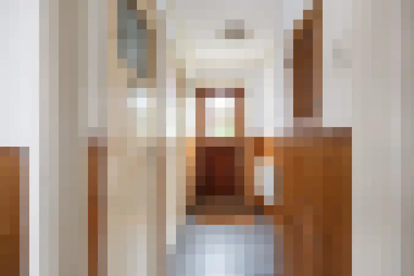 Dijksweg 14 Vierhuizen thumbnail 7