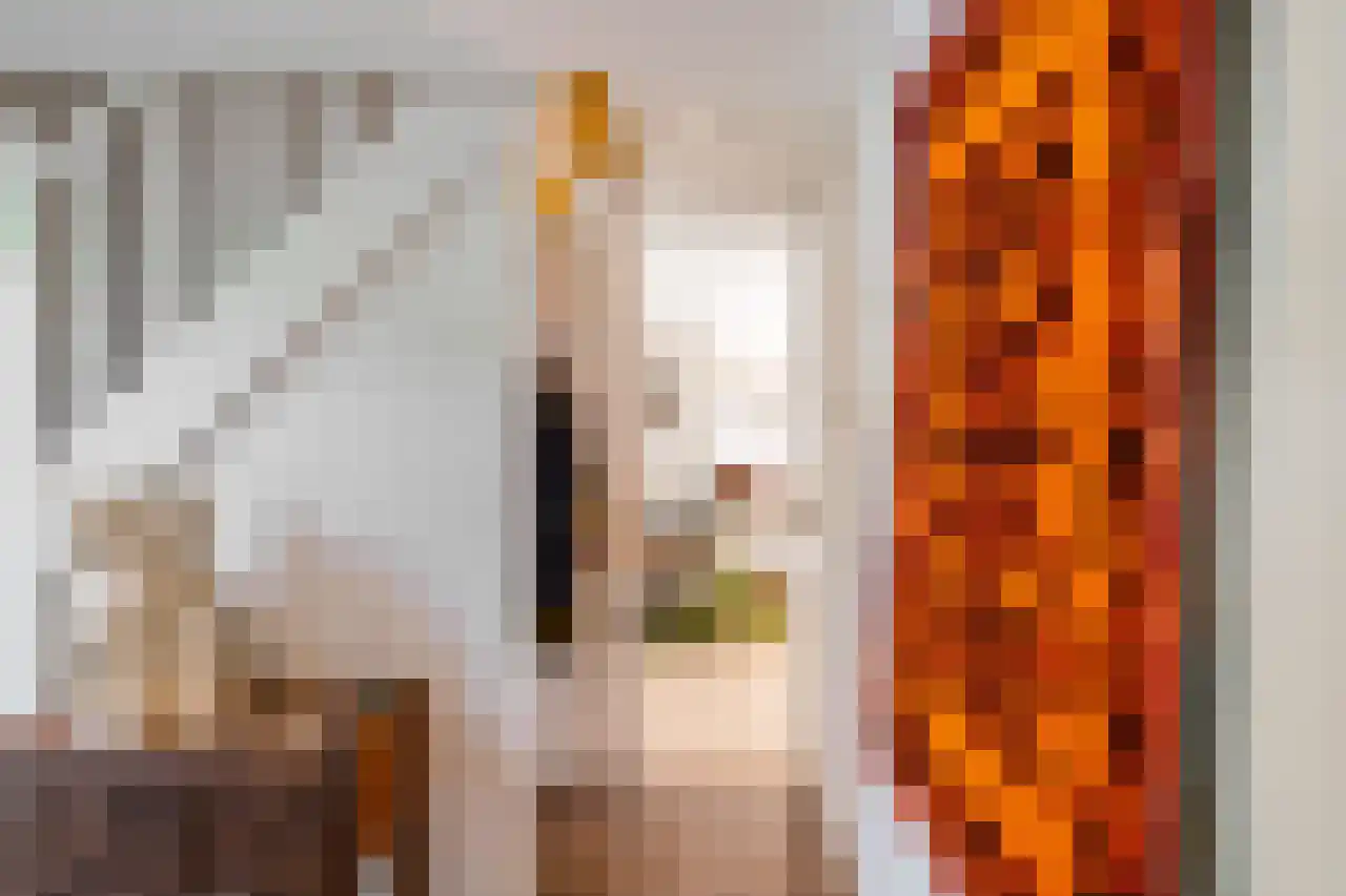 Dijksweg 5 Houwerzijl thumbnail 10