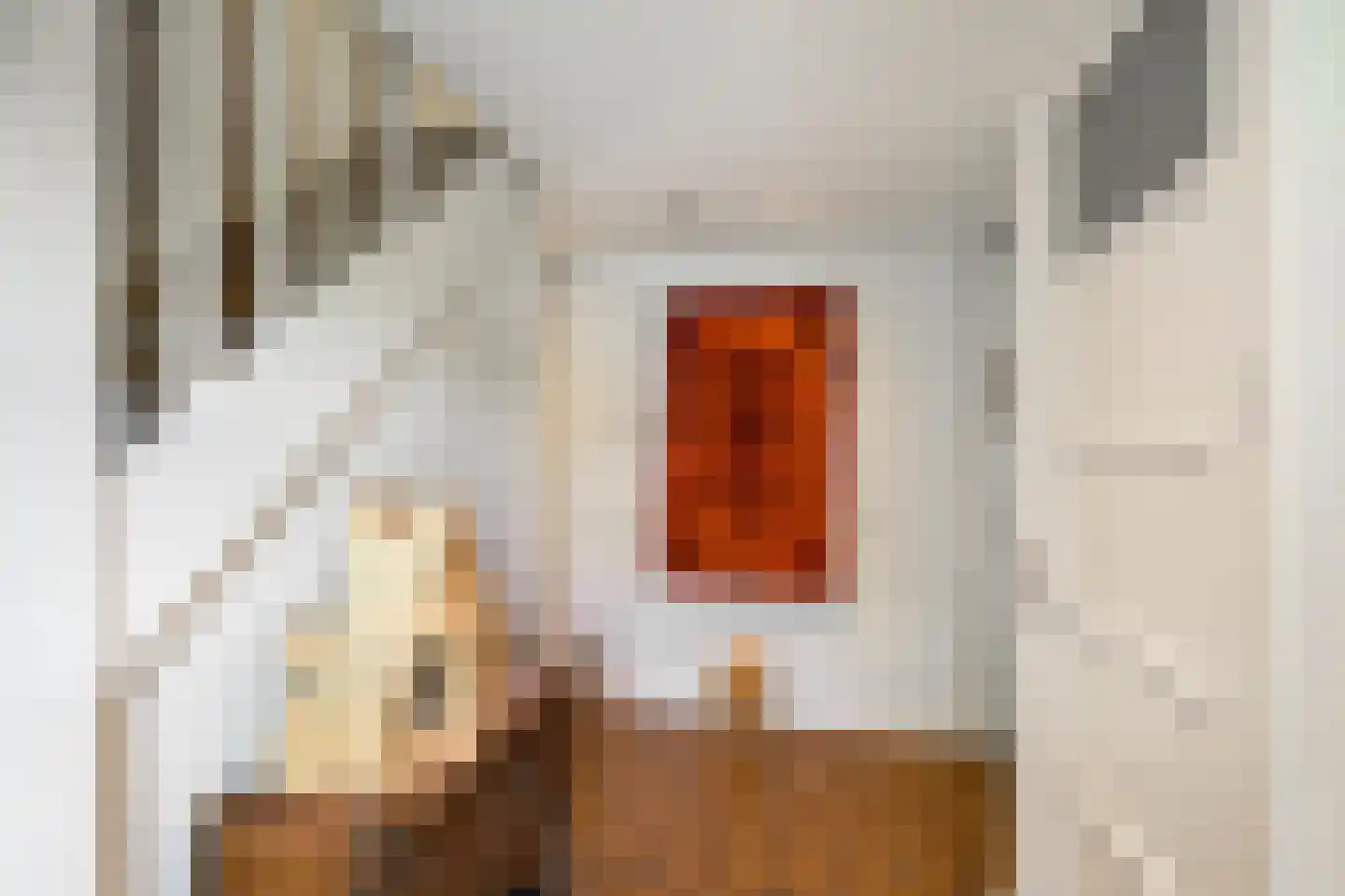 Dijksweg 5 Houwerzijl thumbnail 11