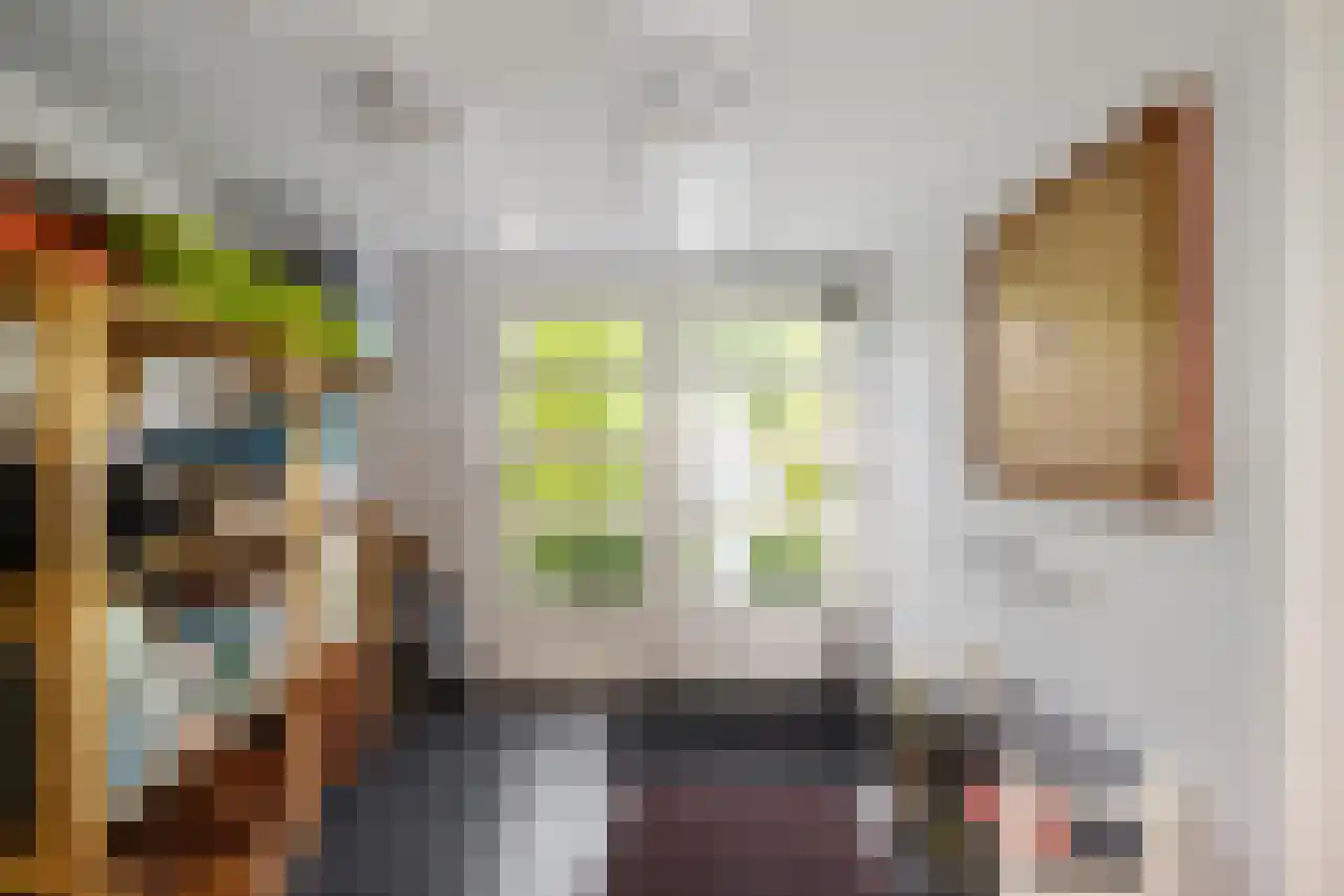 Dijksweg 5 Houwerzijl thumbnail 18