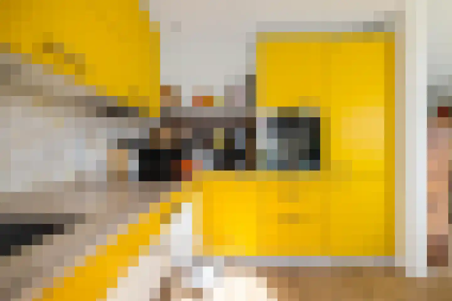 Dijksweg 5 Houwerzijl thumbnail 18