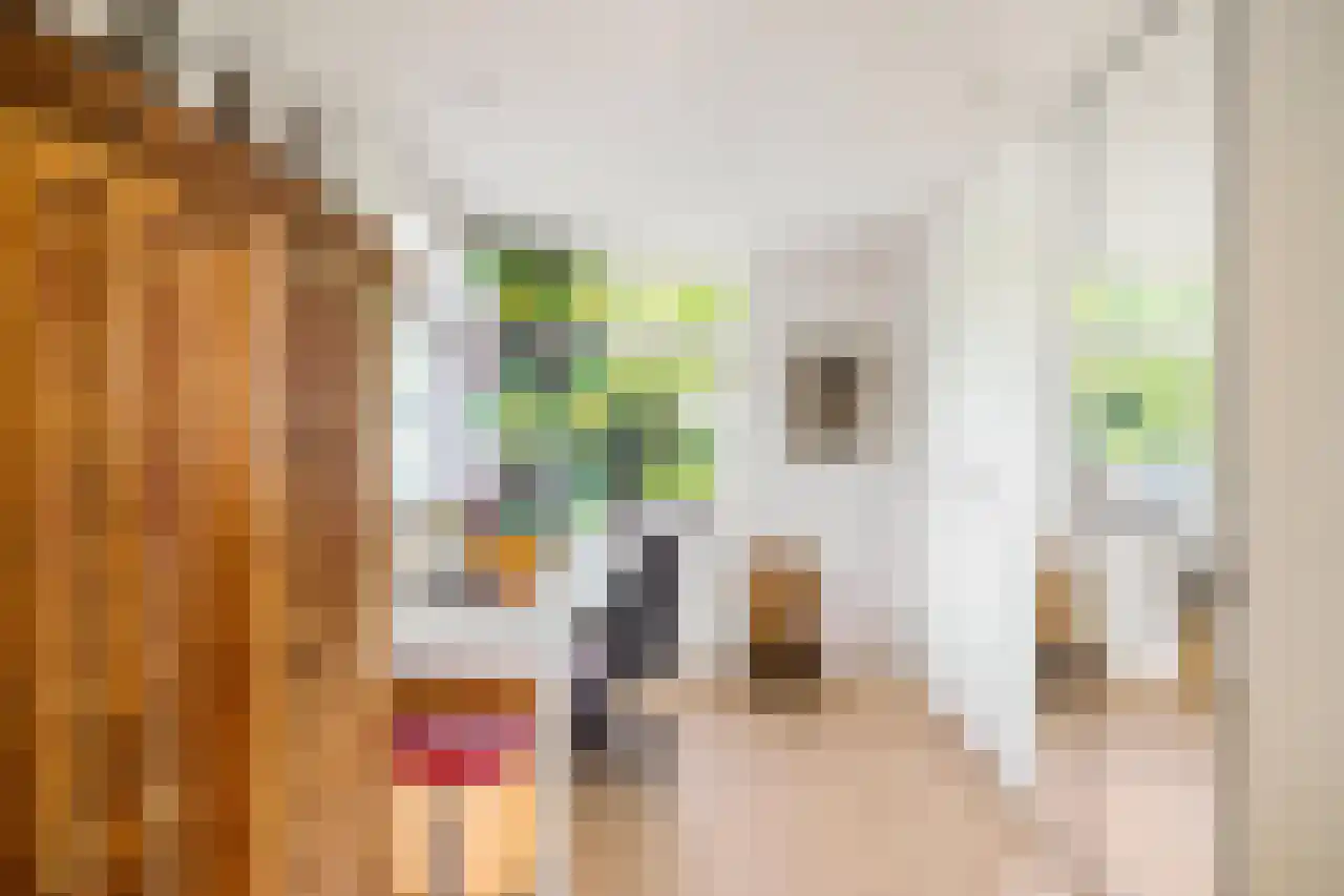 Dijksweg 5 Houwerzijl thumbnail 19