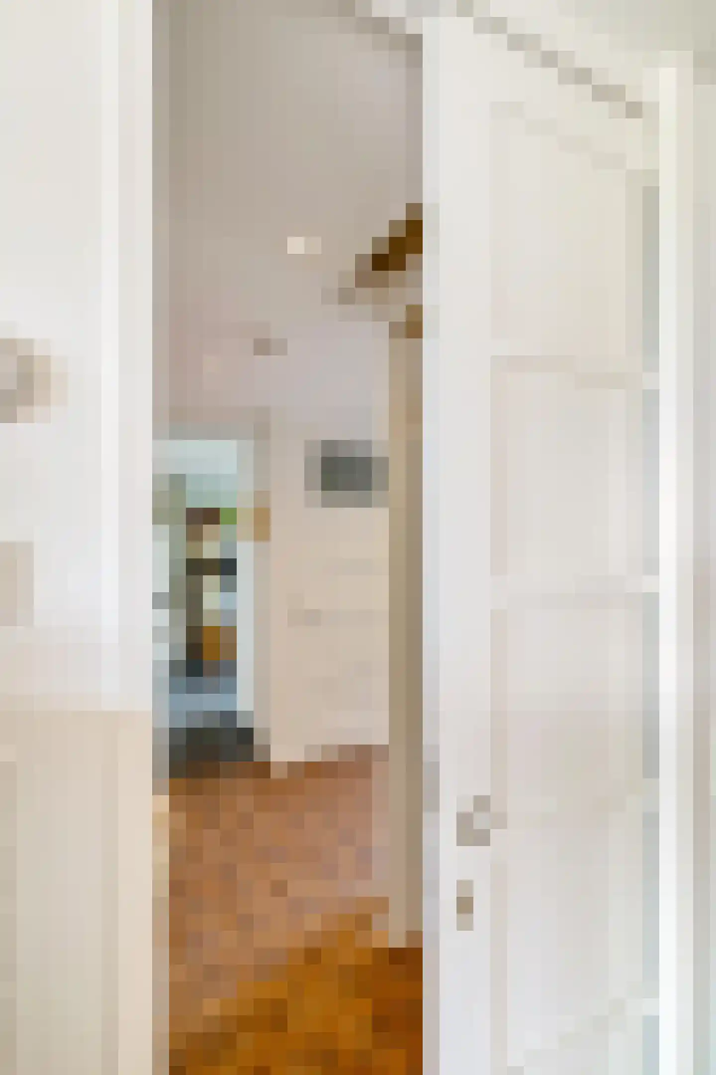 Dijksweg 5 Houwerzijl thumbnail 19