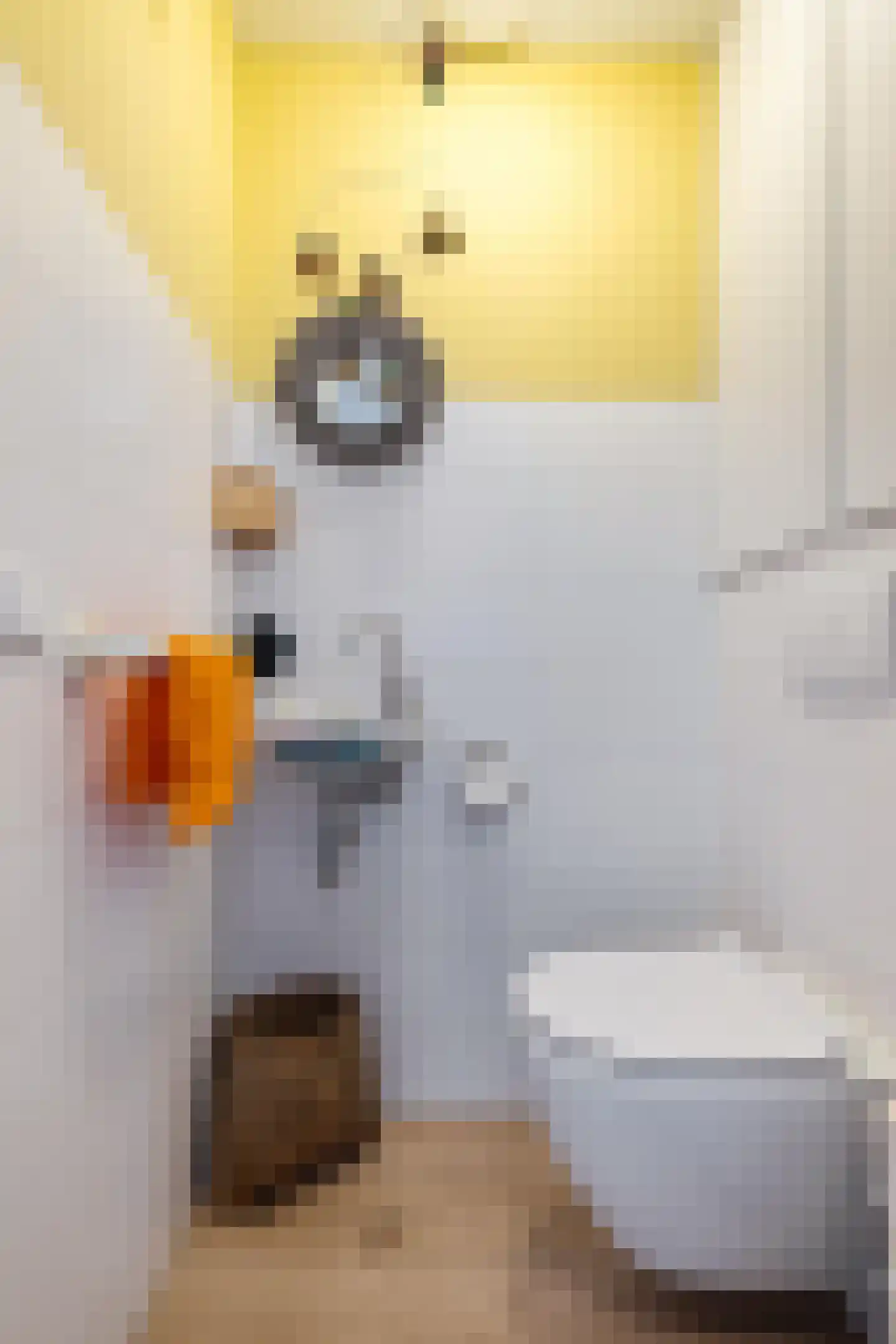 Dijksweg 5 Houwerzijl thumbnail 20