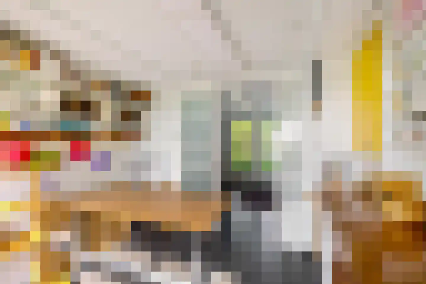 Dijksweg 5 Houwerzijl thumbnail 22