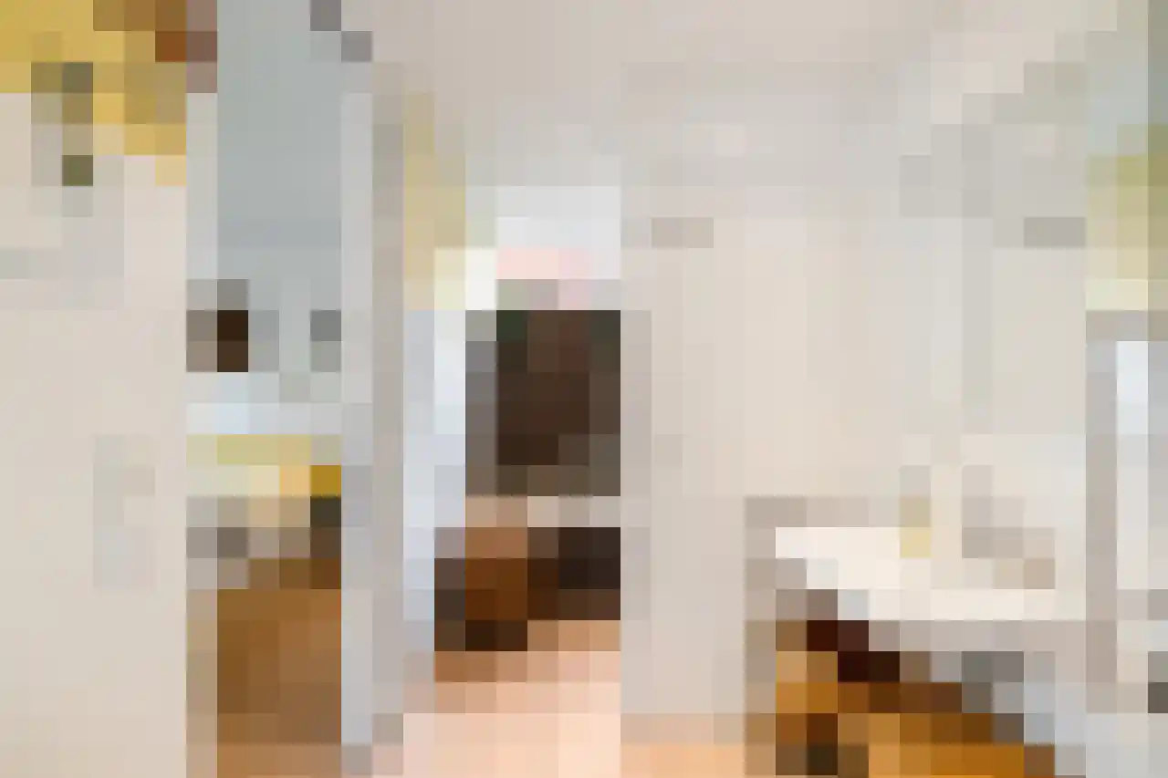 Dijksweg 5 Houwerzijl thumbnail 23