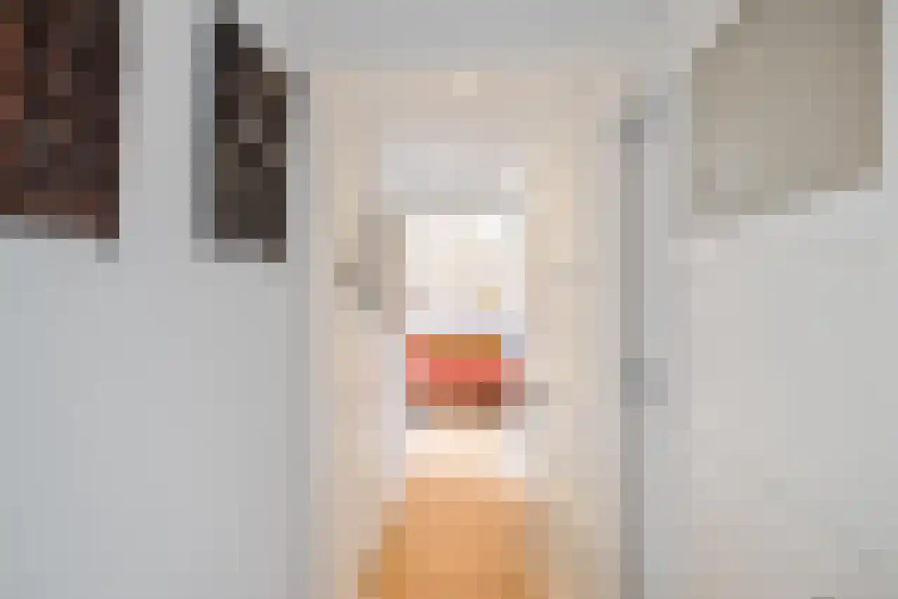 Dijksweg 5 Houwerzijl thumbnail 25