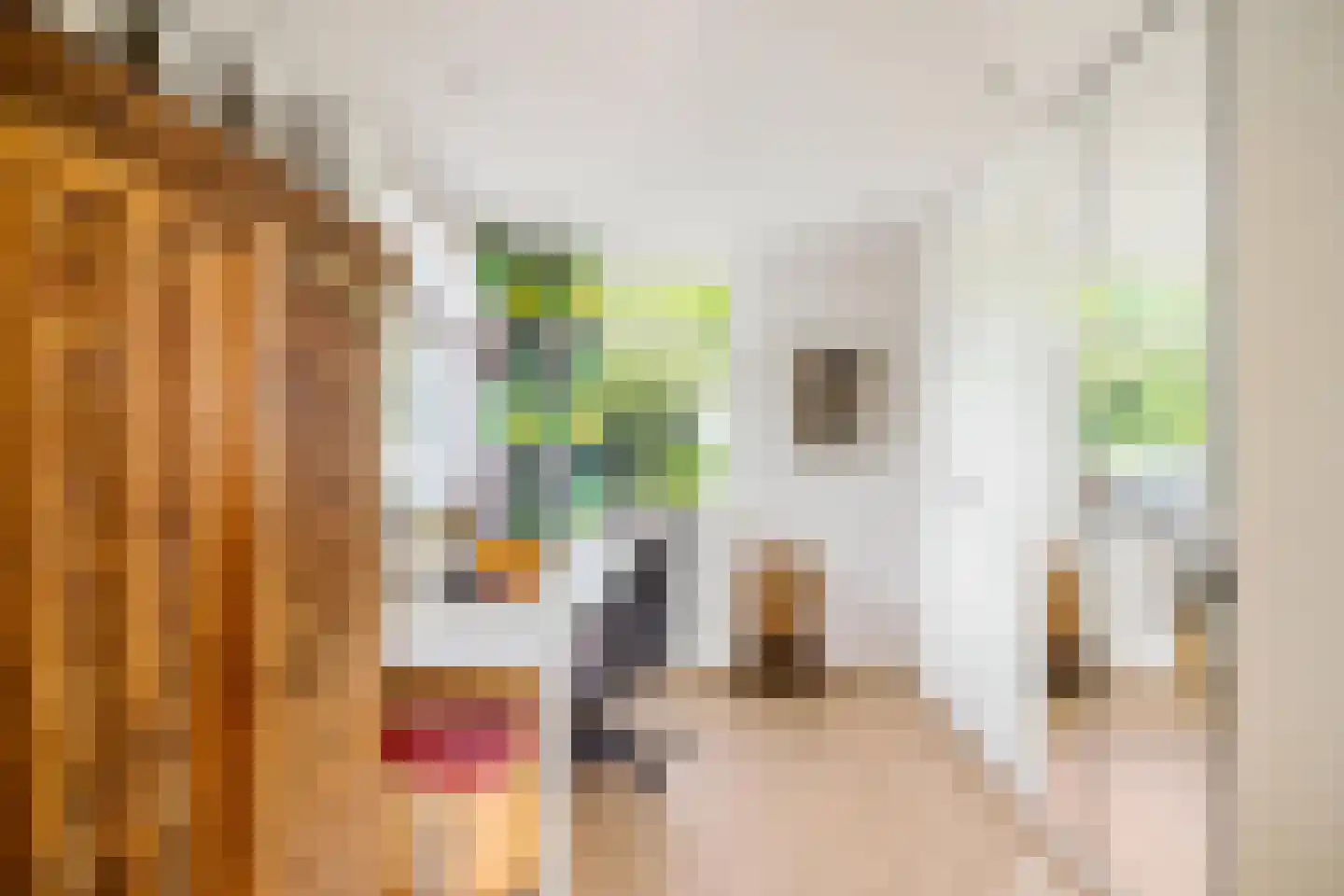 Dijksweg 5 Houwerzijl thumbnail 25